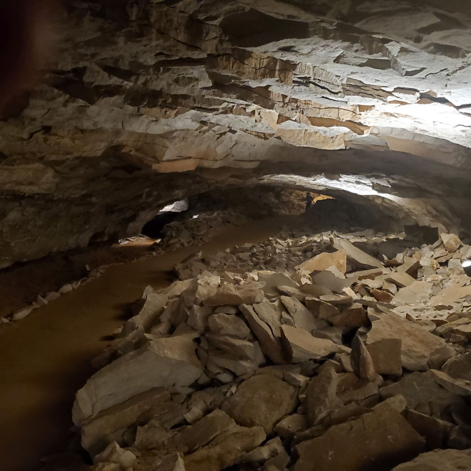 Mammouth Cave Cleaveland Avenue Tour 